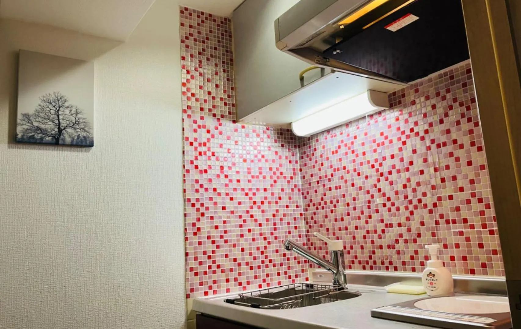 B-Shinjuku Hana Luxury House Apartment Tokyo Japan